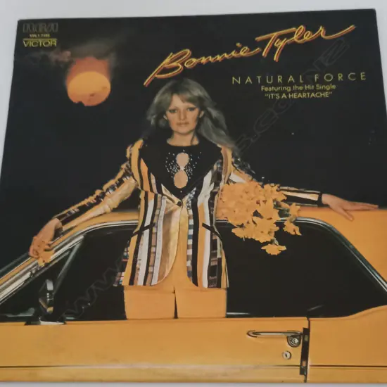 Bonnie Tyler, Natural Force